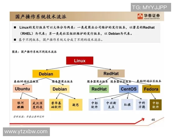深圳足球队选拔赛节奏分析与表现评估全景解读
