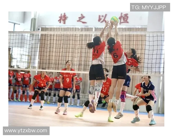 深圳排球队在排球意识排行榜中荣登第四名展现强大团队协作能力