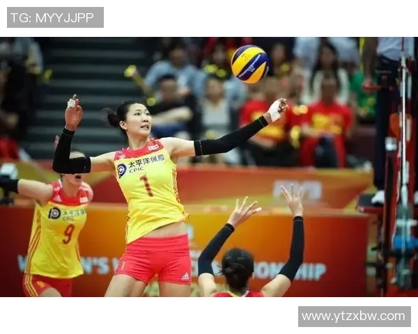 南京与武汉排球队耐力对决赛后深度分析与复盘