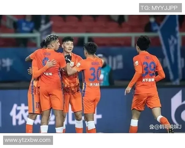 南京排球队心理素质引发热议球迷与专家观点交锋