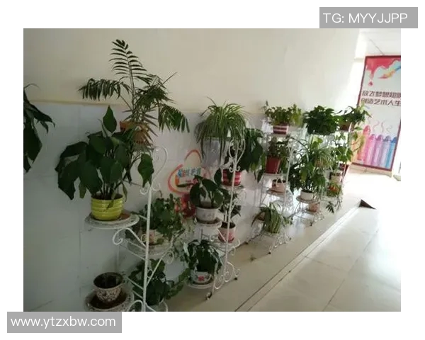 大足海棠小学足球明星崭露头角助力校园体育发展新篇章 大足海棠小学足球明星崭露头角助力校园体育发展新篇章