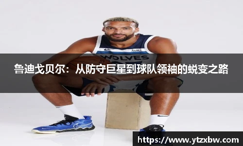 新利体育