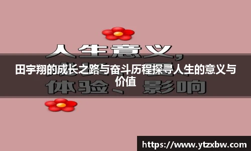 新利体育